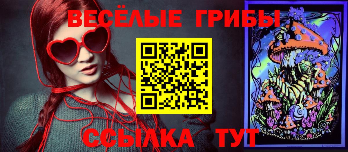 Галлюциногенные грибы Cubensis  Вход с VPN  Нерюнгри 